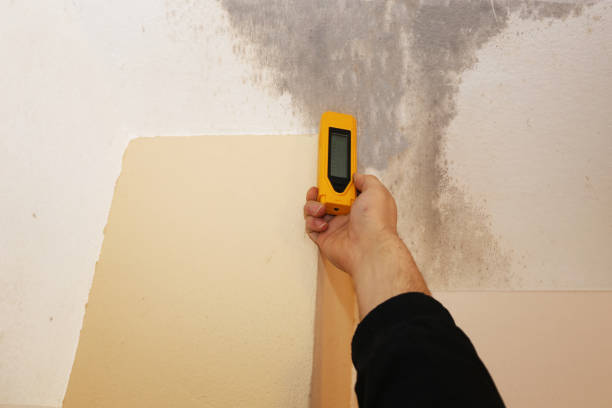 Upper Pohatcong, NJ Mold Removal Company