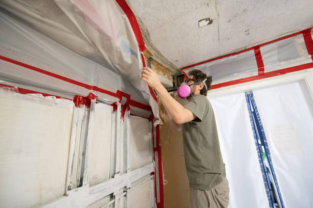 Best Emergency Mold Remediation  in Upper Pohatcong, NJ