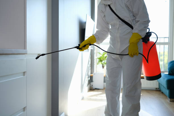 Best Mold Prevention Services  in Upper Pohatcong, NJ