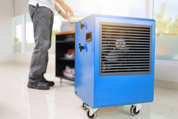 Best Mold Remediation for Healthcare Facilities  in Upper Pohatcong, NJ