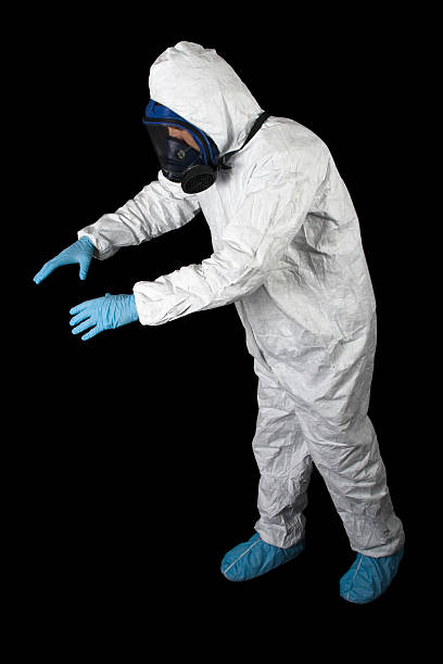 Best Mold Odor Removal Services  in Upper Pohatcong, NJ