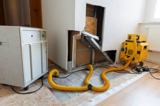 Best Crawl Space Mold Remediation  in Upper Pohatcong, NJ