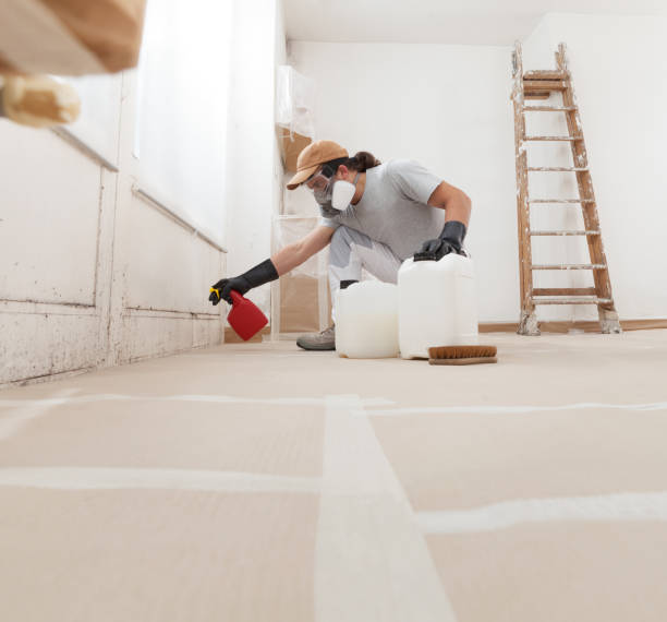 Best Biohazard Mold Removal  in Upper Pohatcong, NJ