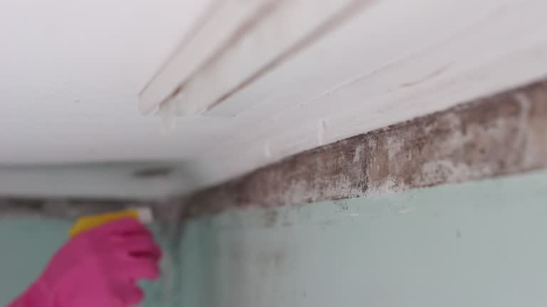 Best Indoor Air Quality Assessment  in Upper Pohatcong, NJ
